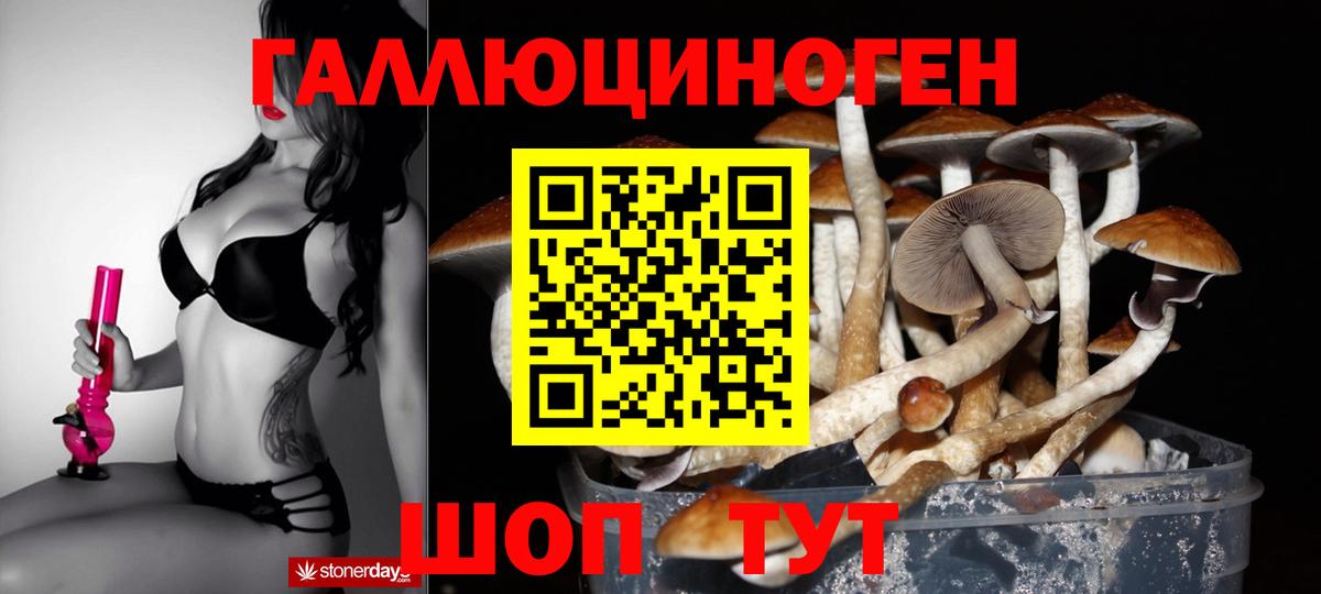 Псилоцибиновые грибы Psilocybe  Вход с VPN  Туапсе  Псилоцибиновые грибы мицелий 